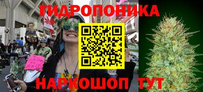 тгк Канаш
