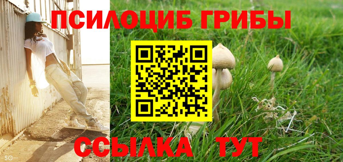 Кубинка  Псилоцибиновые грибы ЛСД  Вход с VPN 