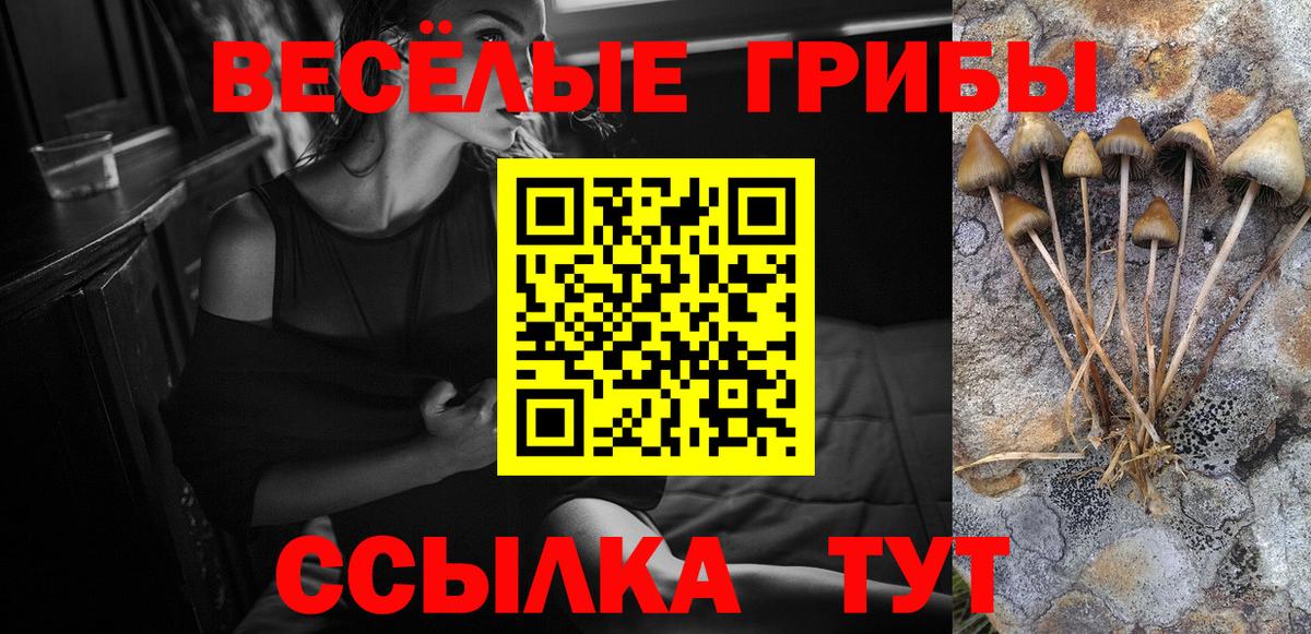 Галлюциногенные грибы MAGIC MUSHROOMS Кубинка